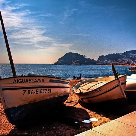 Apartment Lets Holidays Sea Views Apartment&pool In Sa Gabarra Tossa de Mar