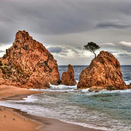 Apartmán Lets Holidays Sea Views & Pool In Sa Gabarra